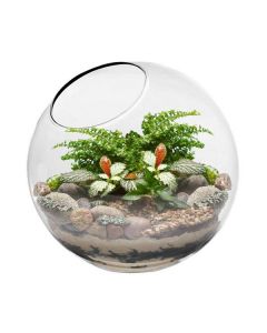 glass-ball-terrarium-planter-gch112-08