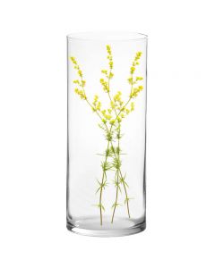 large and tall glass cylinder vases