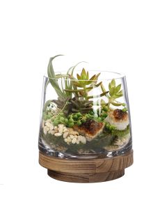 terrarium container vase with wood base