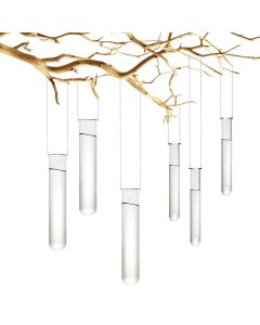 Glass Hanging Test Tubes. H-8" (Pack of 24 pcs)