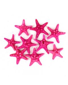 vase-filler-colored-knobby-starfish-VFSF01/04FU