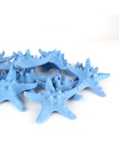vase-filler-colored-knobby-starfish-VFSF01/04lb