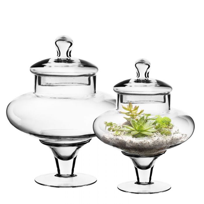 glass apothecary jars set of 2