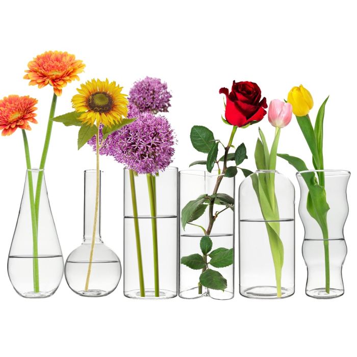 Set of 6 Assorted Glass Bud Vases (Multiple Shapes), Pack of 12 Sets