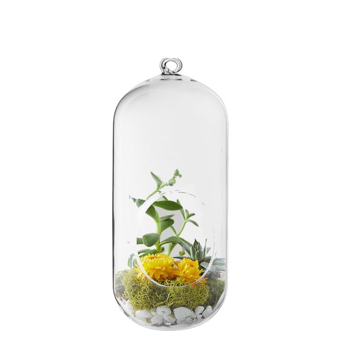 glass hanging terrarium vase