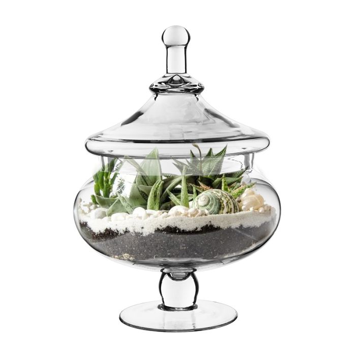 glass apothecary candy buffet jars