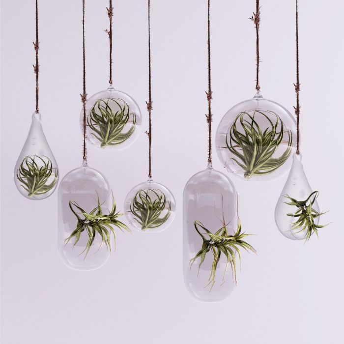 Glass Hanging Plant Terrarium, Tealight Candle Holder (Multiple Size Options)