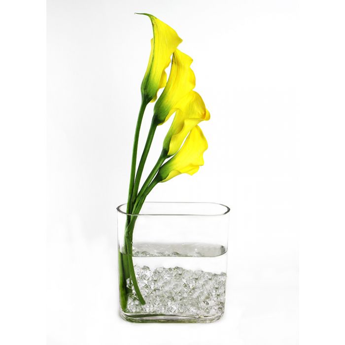glass-round-rectangle-vase-GCU038
