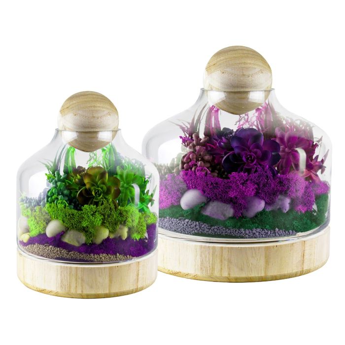 Glass Dome Terrarium Vase With Wood Base And Stopper , H-10