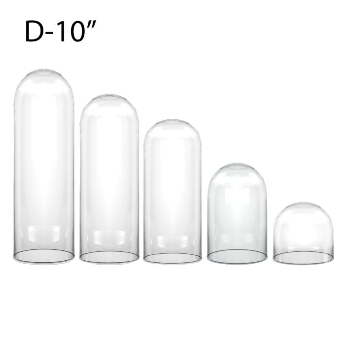 Glass Display Dome Cloche Bell Jar H-10