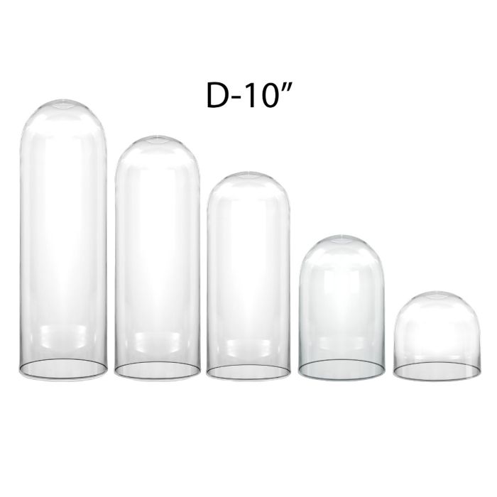 Glass Display Dome Cloche Bell Jar H-10