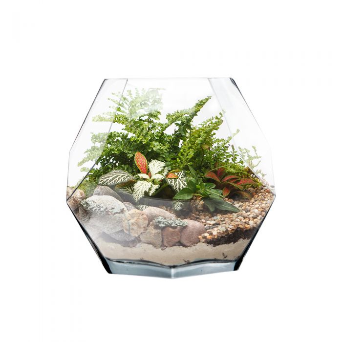 glass terrarium geometric prism vase