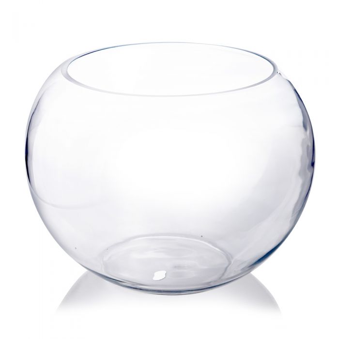 10" Diameter Clear Glass Bubble Bowl Vase Flower Arrangement Terrarium Decor 