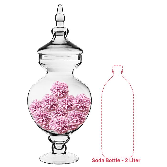 10 inch Glass Candy Buffet Apothecary Bubble Bowl Jar for Parties