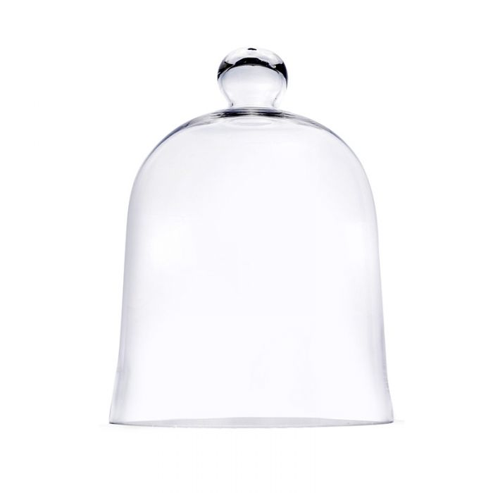 optocht Smerig Ontoegankelijk 16 inch Cloche Terrarium Bell Jar w/ Handle