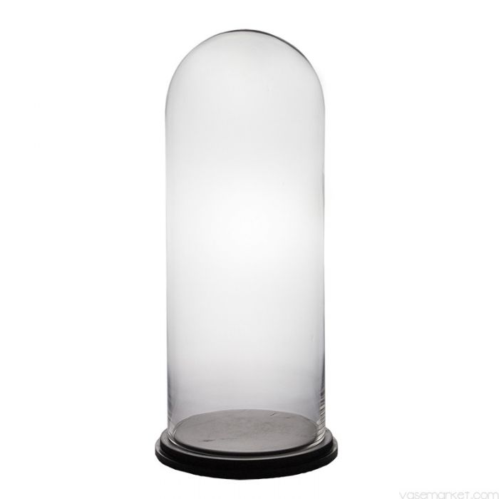 glass-dome-terrarium-gdo112-wb001-08bk