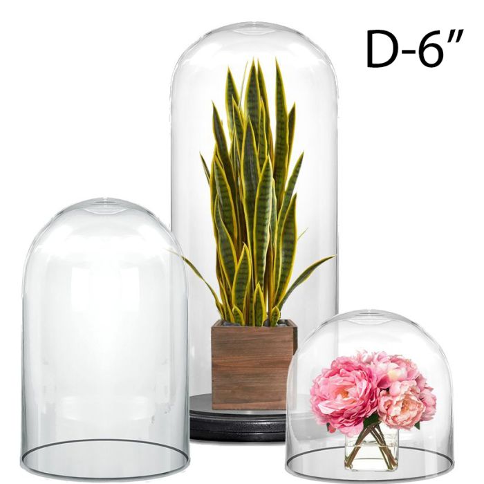 Glass Dome Cloche H-6