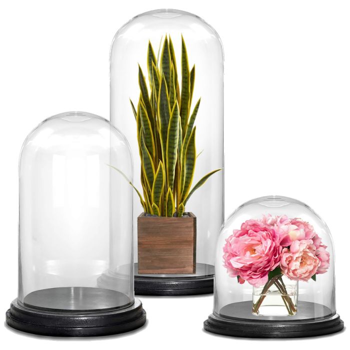 glass cloches domes spring