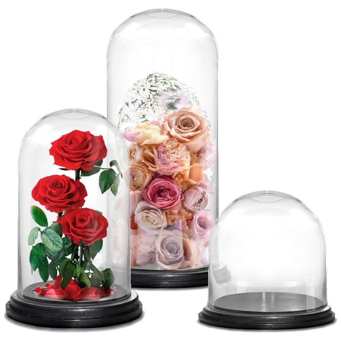 valentines day glass cloches domes
