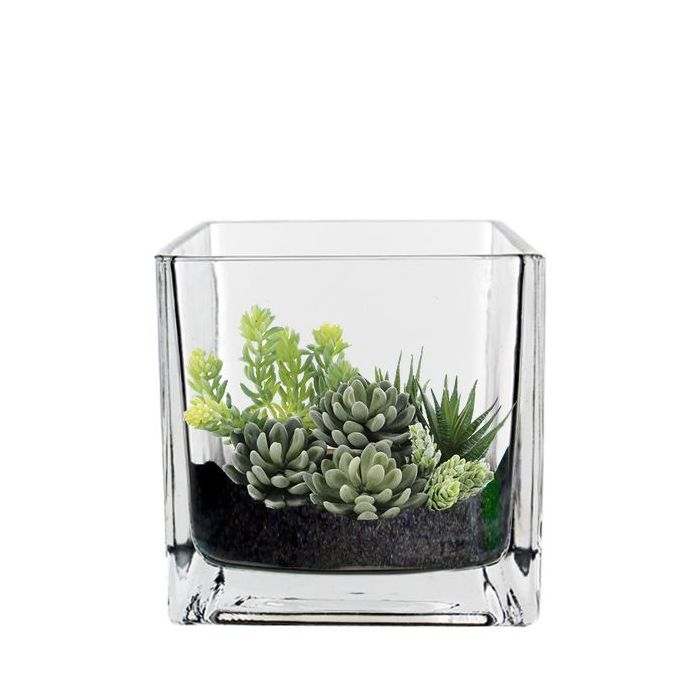 Glass Cube Vase H-4.75