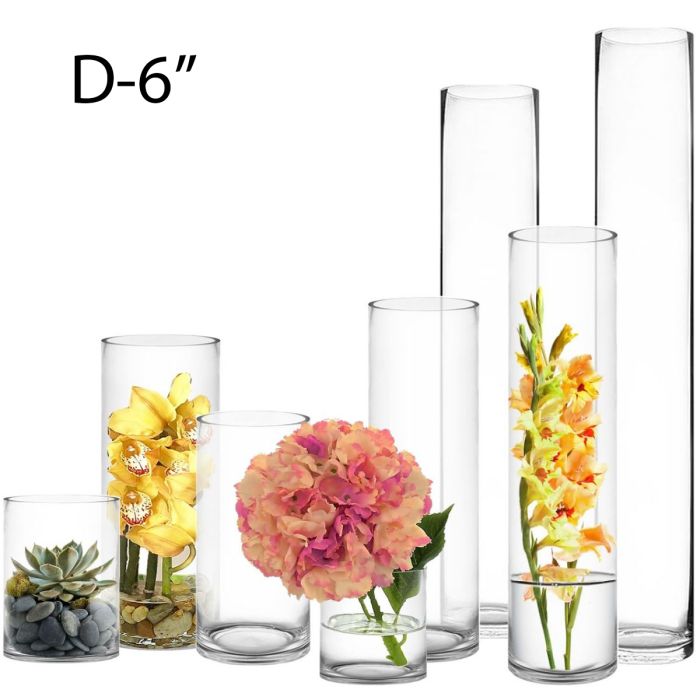 Glass Cylinder Vase. D-6