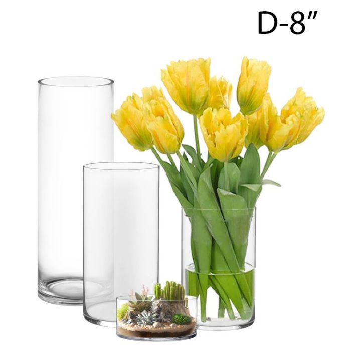 Glass Cylinder Vases. D-8