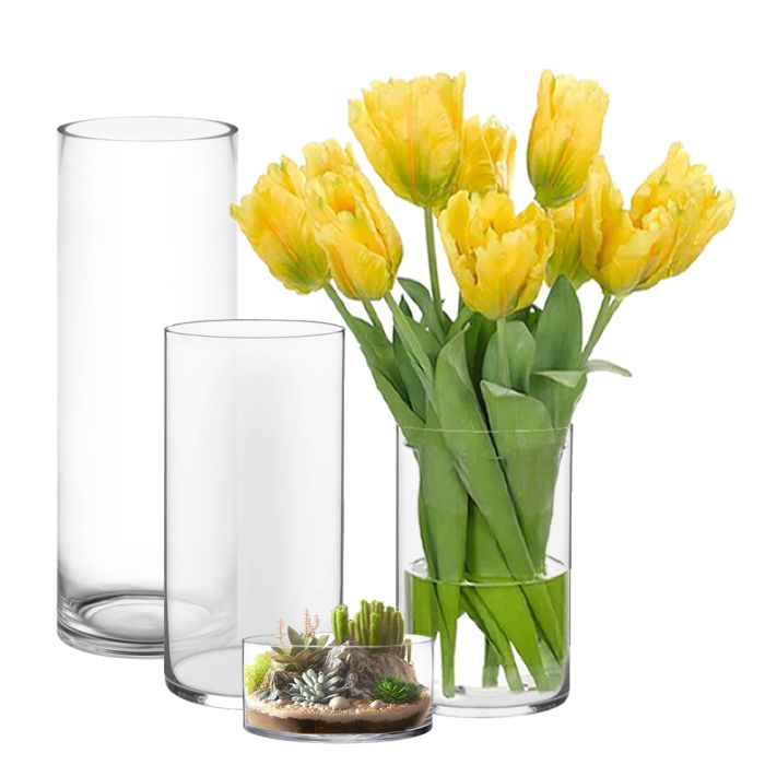 Glass Cylinder Vases. D-8
