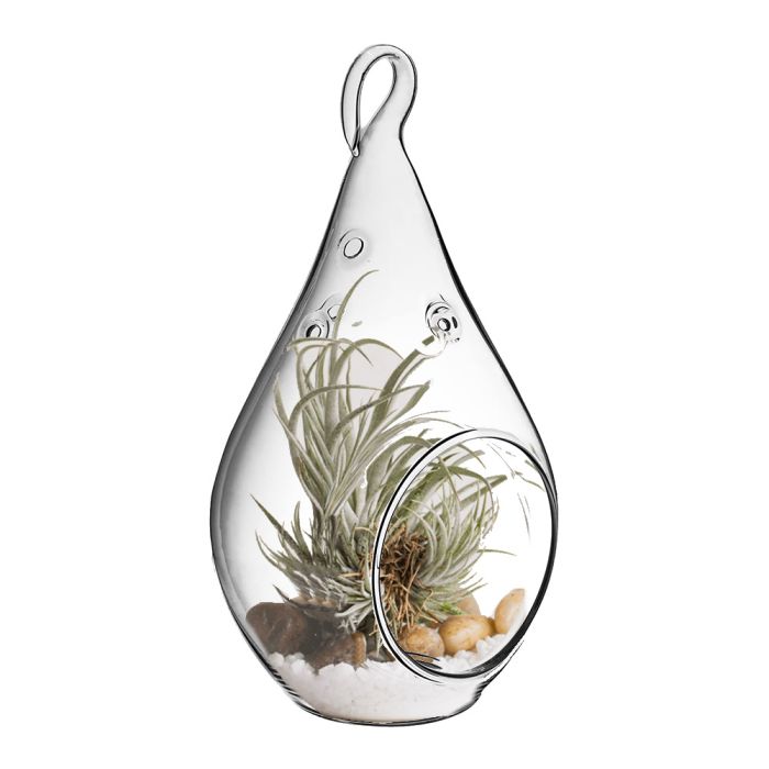 5 Pack Hanging Glass Terrarium Glass Teardrop Terrarium Holder Succulent Plants 