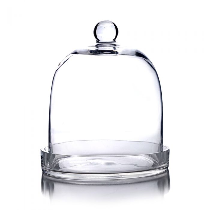 glass cloche dome with glass tray