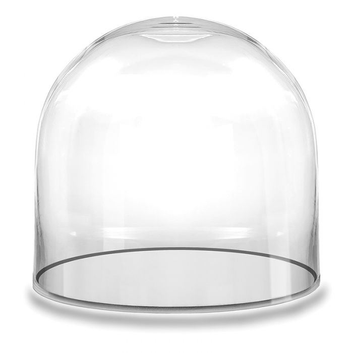 Small Glass Garden Cloche or Display Dome Food Cover Tall Bell Jar Medium 