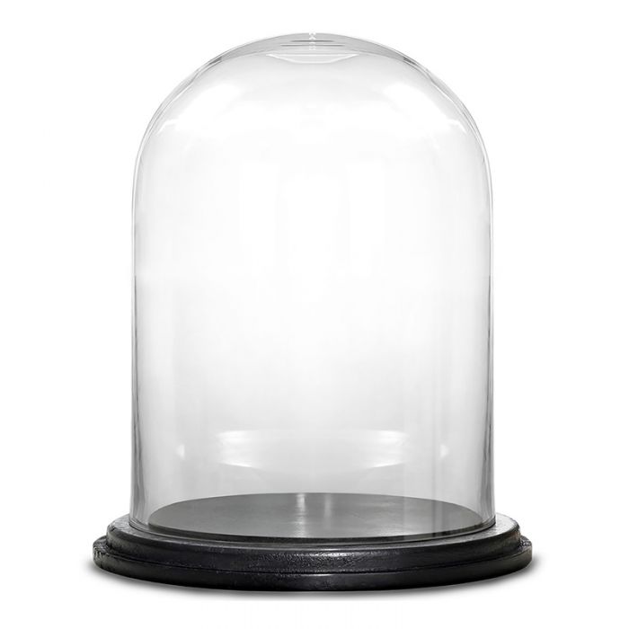 Glass cloches domes display wood base black