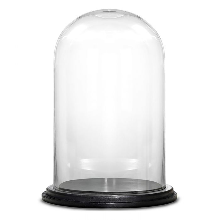 Clear Glass Cloche Bell Jar Light Flower Display Dome With Wood Base Vintage 