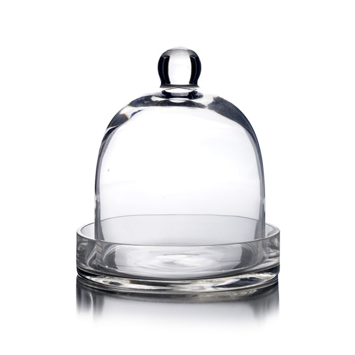 8 X 7 Inch Glass Dome Cloche Bell Jar Tray