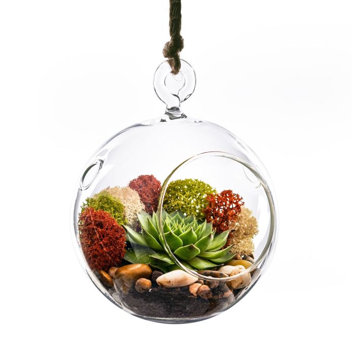 Hanging-glass-plant-terrarium-glass-orbs