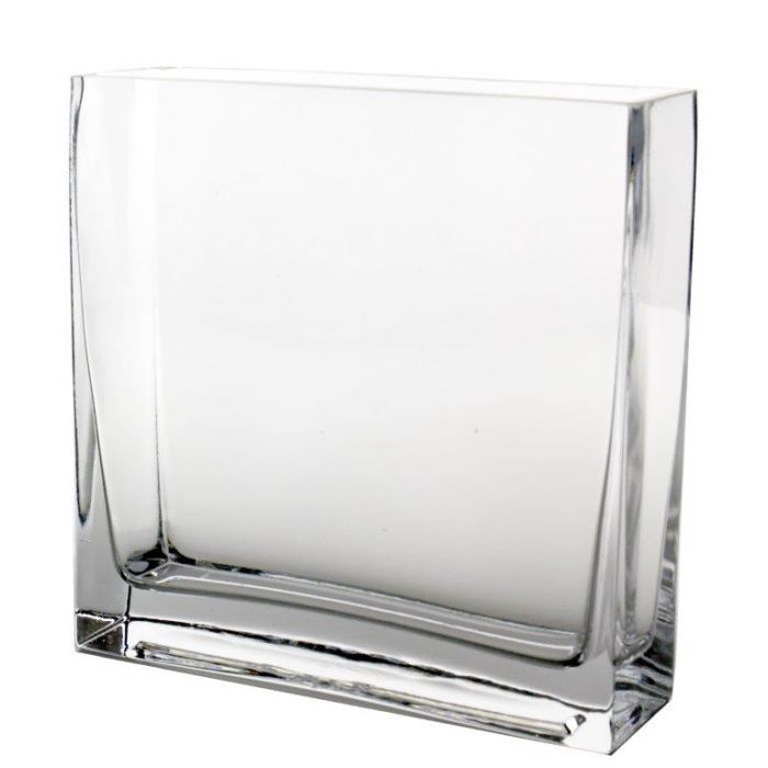 8 inch Tall Thin Opening Glass Rectangle Vase | Home Decor