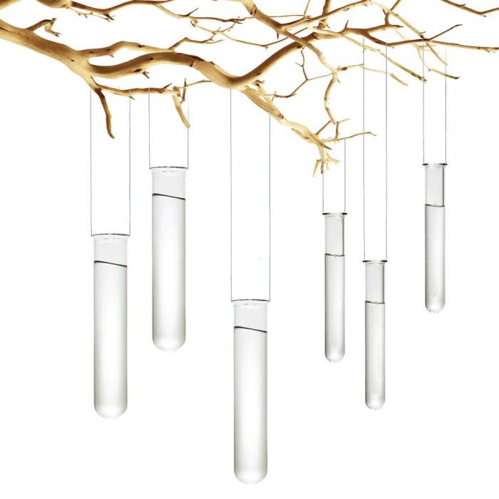 Glass Hanging Test Tubes. H-8