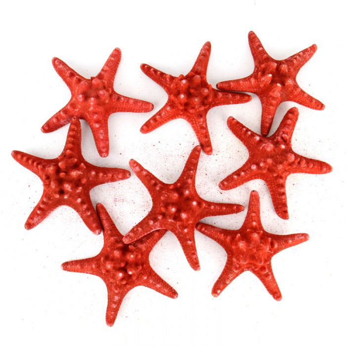 vase-filler-colored-knobby-starfish-VFSF01/05R