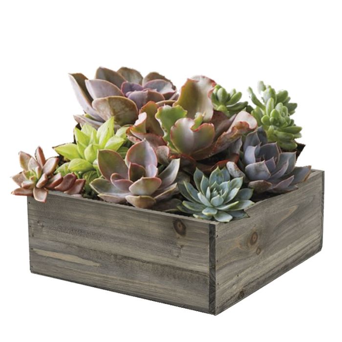 square-wood-planters-wholesale