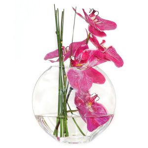 Slim Glass Oval Vases