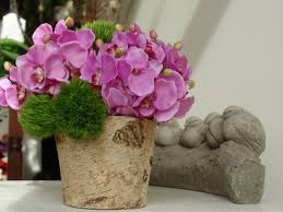 Birch Planter with Fuchsia Orchids and Moss 